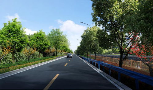 美麗鄉(xiāng)村丨道路設(shè)施蝶變，春園村舊貌換新顏